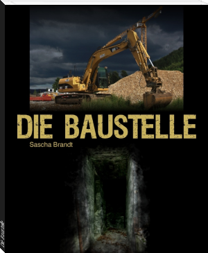 Buchumschlag: Die Baustelle